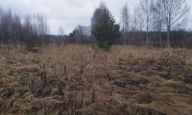 Продается земельный участок в Судогодском районе в деревне Коняево