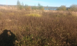 Продается земельный участок в Кольчугино